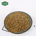 Organic black cumin seed wholesale export